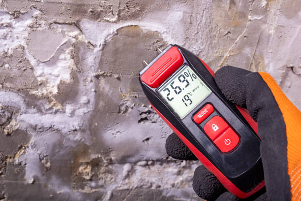 Best Water Damage Restoration  in Holmes Beach, FL